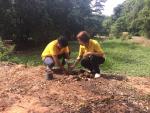 โครงการปลูกต้นไม้เฉลิมพระเกียรติ เนื่องในโอกาสมหามงคลพระราชพ